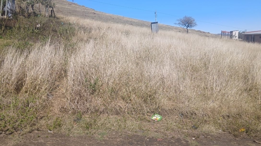 0 Bedroom Property for Sale in Butterworth Eastern Cape